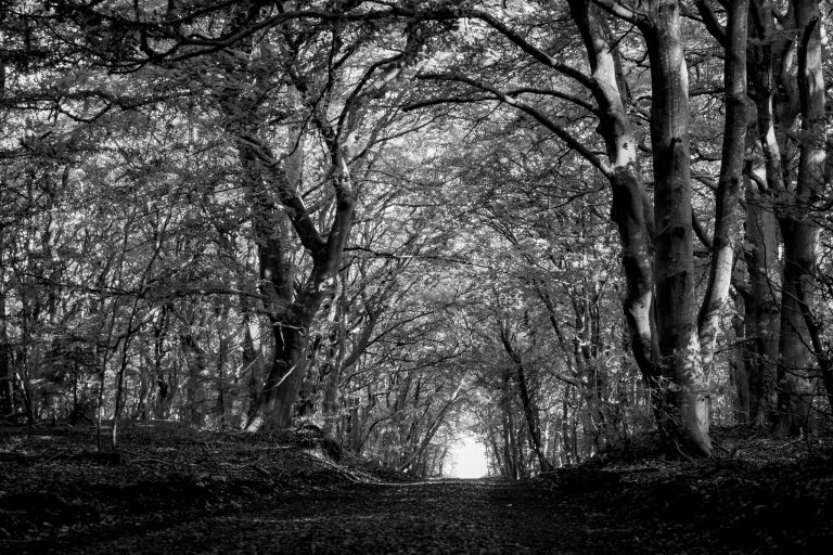 Always take the long way home